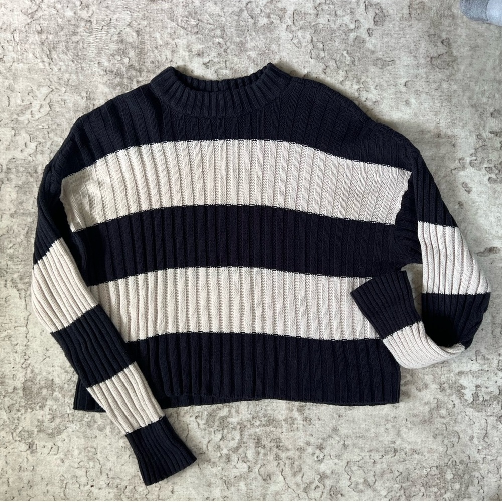 American Eagle Outfitters Navy and Cream Crew Neck Sweater